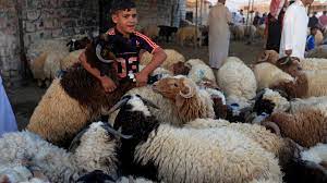 Muslims around the world observe this event. Islam Das Opferfest Hochster Festtag Des Islam Religion Themen Br De