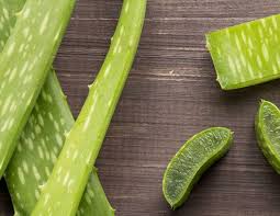 Aloe Vera Gel Anwendung Fur Haut Und Haare Nivea Haut Und Haar Aloe Vera Aloe Vera Anwendung