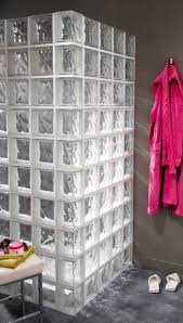 Mettons Des Briques De Verre Dans La Salle De Bains Archzine Fr Paroi De Douche Idees Salle De Bain Pave De Verre