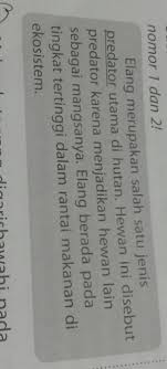 Sinonim disebut juga dengan persamaan makna atau padanan kata. Persamaan Kata Elok Yang Tepat Di Bawah Ini Adalah Guru Paud