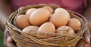 These uses for shoe organizers go way beyond shoes to kick clutter in every room. What Are Organic Eggs Nature S Yoke Free Range Eggs