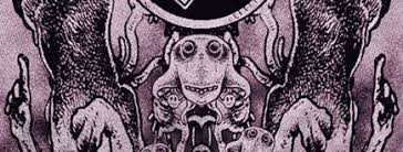 Image result for blackqirex