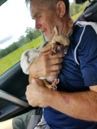 This is the update about Nina. She passed away. Again thanks to those who  prayed. It is unbelieve. She was run over...it wasnt a hawk, a snake, or an  armadillo. She was