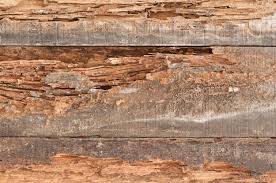 Williams bros lumber company, llc. Timbertown Atlanta Timbertown