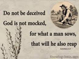 What Does Galatians 6 7 Mean In 2020 Galatians Galatians 6 Bible Devotions
