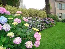 Check spelling or type a new query. 27 Best Flower Bed Ideas Decorations And Designs For 2021