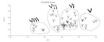 Image result for Otiophora pycnostachys