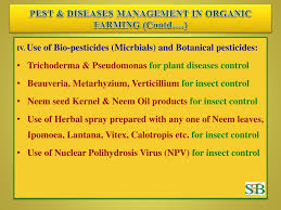 Organic farming is the way of farming our forefather used to practise. Ppt Presented By Dr N R Bhateshwar Director Powerpoint Presentation Id 6148752