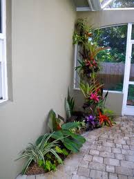 Banana Canna Bird Of Paradise Elephant Ears Philodendron Ginger Ti Plants Flax Lily Bromeliads Sweet Potato Vi Plants Tropical Garden Planting Flowers