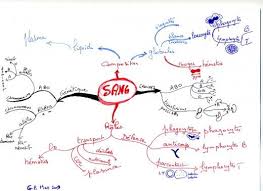 Exemple Carte Mentale Svt Carte Mentale Exemple Carte Mentale Carte Heuristique