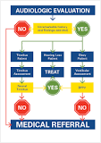 Image result for how do you refer to auditory medical treatment