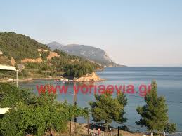 Την εντολή να εκκενωθεί ο οικισμός ρετσινόλακκος που είναι κοντά στη λίμνη της εύβοιας και ο οικισμός κοκκίνη, όπου υπάρχουν κατασκηνώσεις έδωσαν πριν λίγο οι αρχές μετά τη μεγάλη φωτιά. Limnh Eyboia 3enodoxeia Enoikiazomena Dwmatia Studios Boreia Eyboia