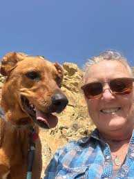 Amazing Adventure today full video