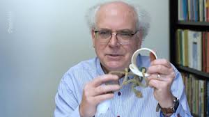 David Howes. Film 2. The study of sensual relations in Papua New Guinea