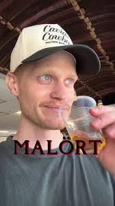 To all those who said I had to try this: I could have gone my entire life  never having this and been perfectly fine, THANK YOU VERY MUCH. 10/10, do  not recommend. #malört #cocktailreview