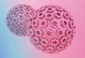 Type 1 and type 2. Genital Herpes Symptoms Treatment Causes Home Remedies Contagious