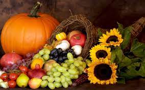 Check spelling or type a new query. What Is A Cornucopia Wonderopolis