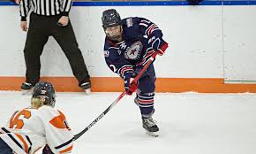 Top-seeded Peters Twp. survives feisty Plum