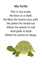Itty Bitty Rhyme My Turtle Preschool Poems Kids Poems Songs For Toddlers