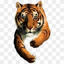 Panther symbol royal tiger panther basketball tiger abstract logo jersey basketball design singlet design run tiger stylized tiger animals mascot sport jersey mockup. Tiger Brands Logo Tiger Brands Hd Png Download 2272x1704 4217472 Pngfind