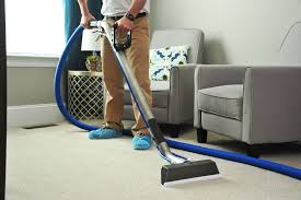 hire a professional carpet cleaner