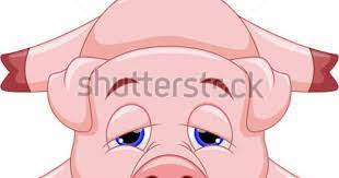 Baby Pig Stock Photos Images Pictures Pig Cartoon Pig Images Pig Painting