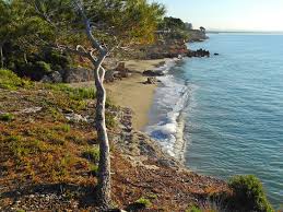 Fotos De Calas De Miami Playa