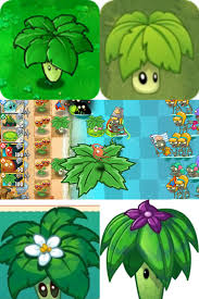Umbrella leaf can be a very useful plant in PVZ2 for dealing with these  zombies. | EA Forums - 10268694