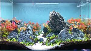 The rock composition is naturalistic but subtlety gives the aquascape the facade of a rugged mountain side. Tutorial Brazilian Style Aquascape 60p Youtube