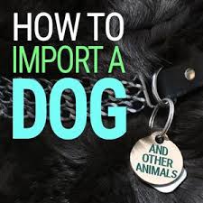 Celebrating ten years with petrelocation: How To Import A Dog Customs Bonds Usa Customs Clearance