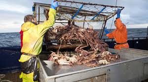 Deadliest Catch Season 22 Sets Sail: Premiere Date and Captain Lineup Announced  Deadliest Catch is officially returning for Season 22, with the premiere  date now confirmed and the full lineup of captains