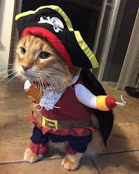 Pin On Halloween Costumes For Pets