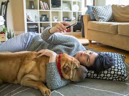 Maybe you would like to learn more about one of these? Sleeping On The Floor Benefits Side Effects As Treatment And How To