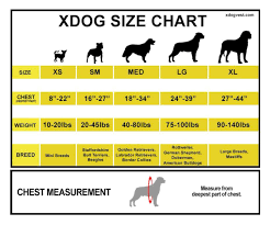 xdog vest size chart workout vest doberman border collie