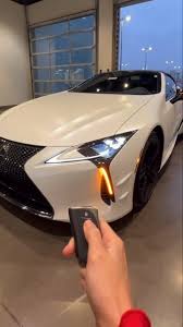 Image result for Polar Surge Satin 2024 LC