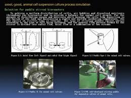 Each cell in your body was made from an already existing cell. China The Bioreactor Is Used In The Construction Of The Production Line Of The Chicken Infectious Bursal Disease Live Vaccine B87 Strain China Bioreactor For Production Of Vaccines Stainless Steel Bioreactor