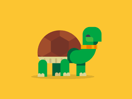 Go Turtles Go Animation Design Motion Graphics Animation Motion Design