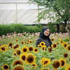 Besar, biasanya berwarna kuning terang. Sunflower Festival Pvj Bandung Rhialitage