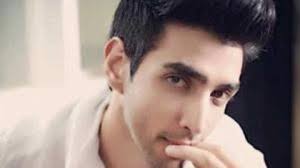 From a model to an actor: Arjun Pratap Bajwa; an Indian supermodel