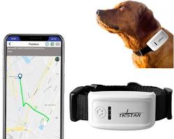 Pet GPS trackers