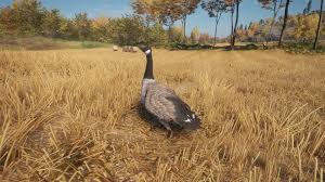 Get inspired by our community of talented artists. Kanadagans Thehunter Call Of The Wild Wiki Fandom