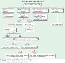 Hyperthyroidism Harrisons Principles Of Internal Medicine