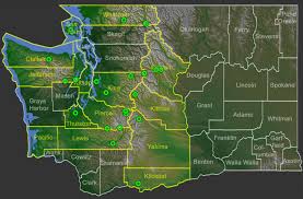 Image result for Brownleea maculata
