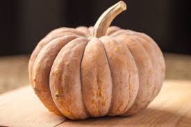 Maybe you would like to learn more about one of these? Organic Seeds Long Island Cheese Pumpkin San Diego Seed Company