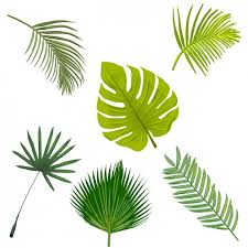 We did not find results for: Palm Tree Leaves Collection Free Vectors Ui Download