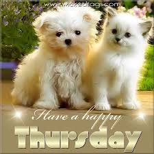Happy Thursday Image Happy Thursday Picture Code Cute Puppies And Kittens Cute Cats And Dogs Cute Baby Animals