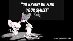 Since this was such a new thing, it attracted viewers' attention. 25 Best Pinky And The Brain Quotes Quotedtext