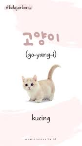  Korean Lesson Bahasa Korea