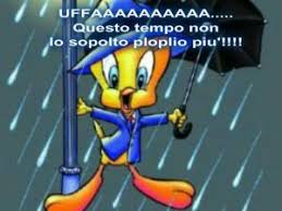 Splendide immagini da scaricare gratis e condividere per augurare la buona serata al tuo amore, ad un amico o amica, ai familiari o ad una persona a te cara. Buongiorno Piovoso Il Magico Mondo Dei Sogni