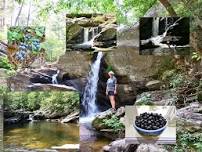 Adventure - Swim - Play - Wild Blueberries, If We...